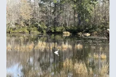 2259 Python Circle, Conway, SC 29526 - Photo 22