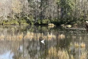 2259 Python Cir, Conway, SC 29526 - Photo 22