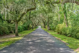 371 Tuckers Rd, Pawleys Island, SC 29585 - Photo 42