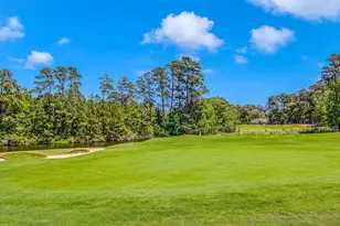 4542 Firethorne Dr, Murrells Inlet, SC 29576 - Photo 44