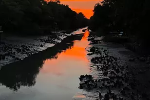 494 Clubhouse Rd, Murrells Inlet, SC 29576 - Photo 44