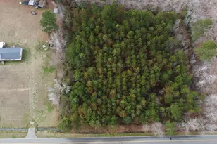 6049 Hwy 389, Nichols, SC 29581 - Photo 32