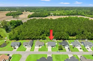 337 Basswood Ct, Conway, SC 29526 - Photo 50