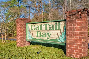226 Cat Tail Bay Dr, Conway, SC 29527 - Photo 30
