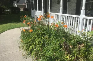 1044 Forest Dr, Conway, SC 29526 - Photo 32