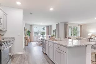 320 Hadley Spgs Ave, Longs, SC 29568 - Photo 4