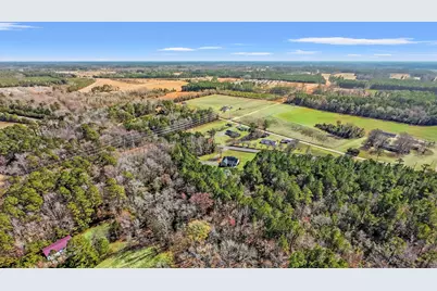 374 Brunson Spring Rd., Galivants Ferry, SC 29544 - Photo 52