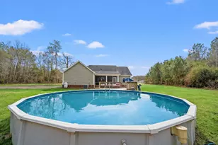 374 Brunson Spring Rd, Galivants Ferry, SC 29544 - Photo 42
