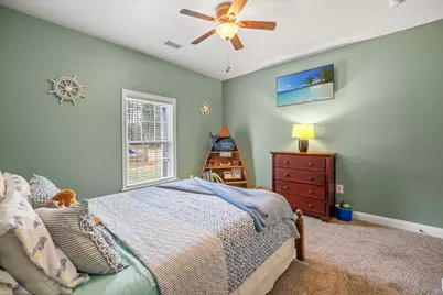 374 Brunson Spring Rd., Galivants Ferry, SC 29544 - Photo 26