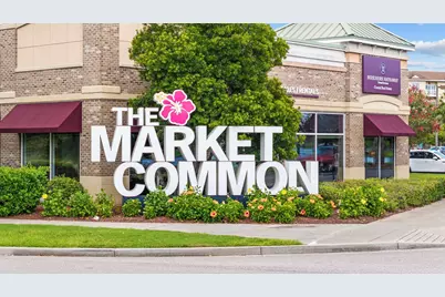 2617 Pegasus Place, Myrtle Beach, SC 29577 - Photo 52