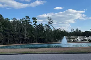 131 Machrie Loop, Myrtle Beach, SC 29588 - Photo 40