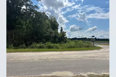 Tbd Millers Rd., Marion, SC 29574 - Photo 4