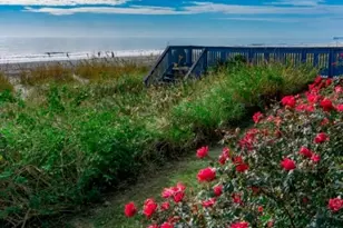 2001 S Ocean Blvd S, Myrtle Beach, SC 29577 - Photo 4