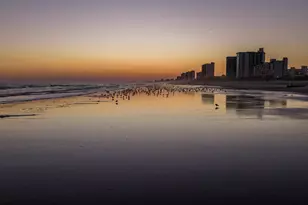 215 3rd Ave N, North Myrtle Beach, SC 29582 - Photo 38