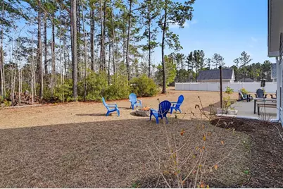 141 Penn Circle, Galivants Ferry, SC 29544 - Photo 32