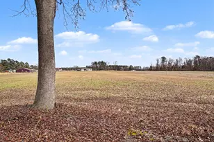 1619 Grain Bin Rd, Lake View, SC 29563 - Photo 8