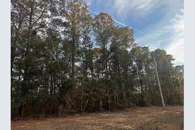 4563 South Island Rd., Georgetown, SC 29440 - Photo 4