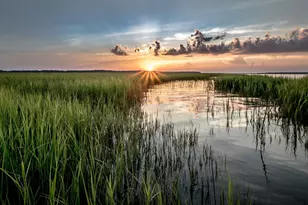 1301 Beach Way Ln, North Myrtle Beach, SC 29582 - Photo 24