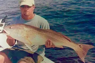 2618 Rion St, Georgetown, SC 29440 - Photo 44