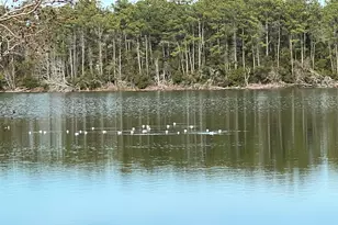 1617 Crystal Lake Dr, Surfside Beach, SC 29575 - Photo 40