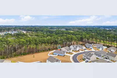 288 Lassoed Circle, Murrells Inlet, SC 29576 - Photo 20