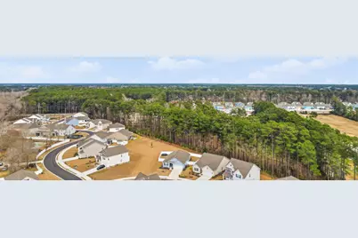 288 Lassoed Circle, Murrells Inlet, SC 29576 - Photo 48