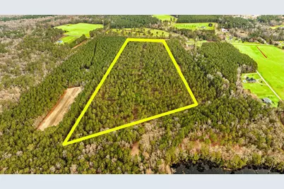 Old Reaves Ferry Rd., Conway, SC 29526 - Photo 8