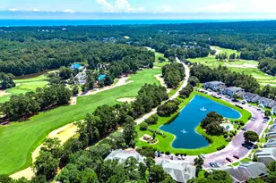 1135 Blue Stem Dr, Pawleys Island, SC 29585 - Photo 20