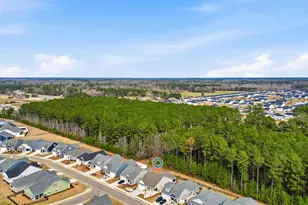 2175 Gooseberry Wy, Longs, SC 29568 - Photo 56