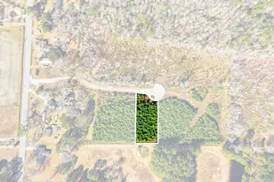 Tbd Lot 3 Old Reaves Ferry Rd, Conway, SC 29526 - Photo 1