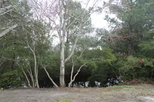 351 Southern Pines Dr, Myrtle Beach, SC 29579 - Photo 46