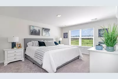 146 Country Grove Way, Galivants Ferry, SC 29544 - Photo 12