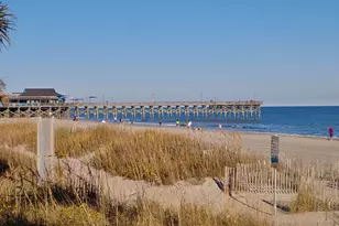 159 Albatross Wy, Myrtle Beach, SC 29579 - Photo 34