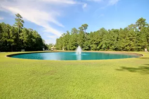 437 Coral Harbor Dr, Myrtle Beach, SC 29588 - Photo 44