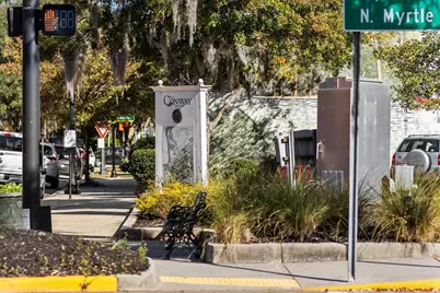 Tbd Lot 5 Old Reaves Ferry Rd., Conway, SC 29526 - Photo 14