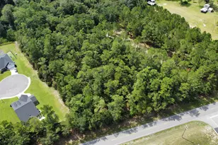 Tbd Hwy 905, Conway, SC 29526 - Photo 1