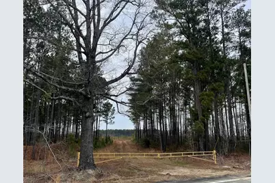 Tbd Rocky Ford Rd., Salters, SC 29590 - Photo 1