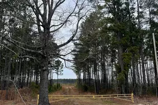 Tbd Rocky Ford Rd, Salters, SC 29590 - Photo 1