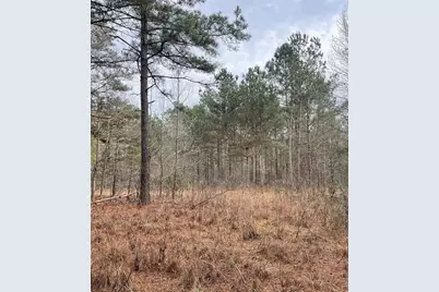 Tbd Rocky Ford Rd., Salters, SC 29590 - Photo 2