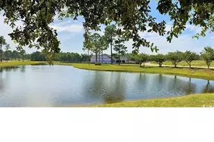 401 Starlit Way, Myrtle Beach, SC 29579 - Photo 34