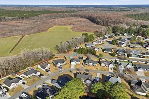 803 Golden Eagle Dr, Conway, SC 29527 - Photo 40