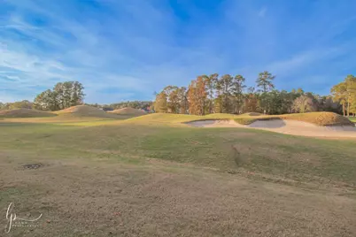 1803 Wood Stork Dr., Conway, SC 29526 - Photo 30