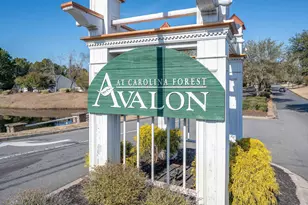 465 Dandelion Ln, Myrtle Beach, SC 29579 - Photo 32