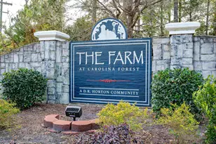 5149 Morning Frost Pl, Myrtle Beach, SC 29579 - Photo 38