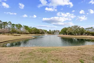 1135 Blue Stem Dr, Pawleys Island, SC 29585 - Photo 38