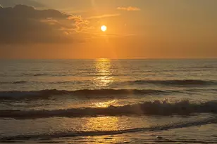 14290 Ocean Hwy, Pawleys Island, SC 29585 - Photo 24