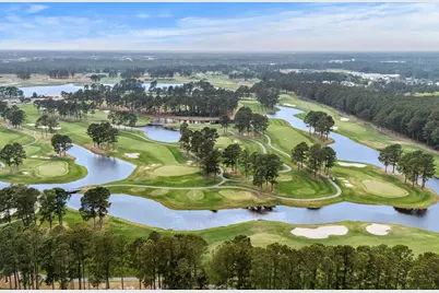 1704 Singing Rose Dr., Myrtle Beach, SC 29579 - Photo 84