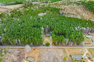 316 Tomahawk St, Hemingway, SC 29554 - Photo 38