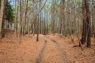 316 Tomahawk St, Hemingway, SC 29554 - Photo 32