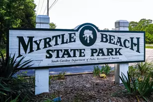 884 Mourning Dove Dr, Myrtle Beach, SC 29577 - Photo 60